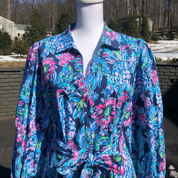 Lilly Pulitzer Long Sleeve Botton Dress - Picture 5 of 6